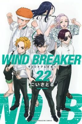 Wind Breaker (NII Satoru)