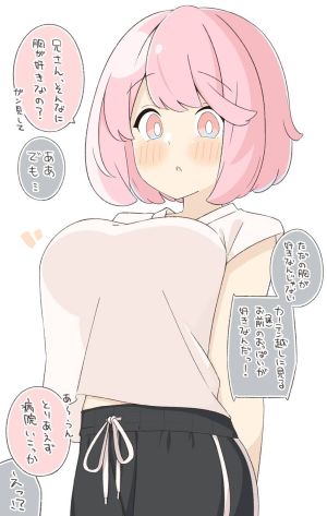 Imouto no Mune ga Suki