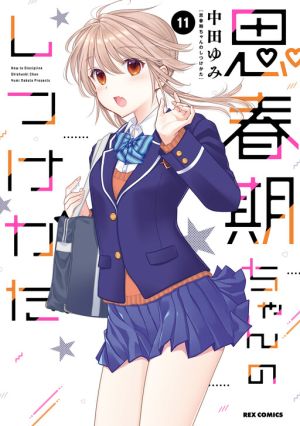 How to Discipline Shishunki-chan