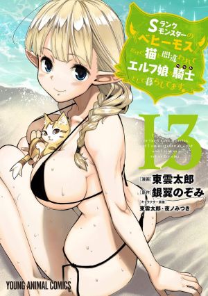 I Am Behemoth of the S Rank Monster but I Am Mistaken as a Cat and I Live as a Pet of Elf Girl