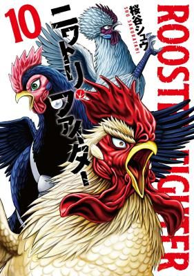 Rooster Fighter