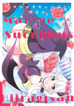The Serious Succubus Hiragi-san