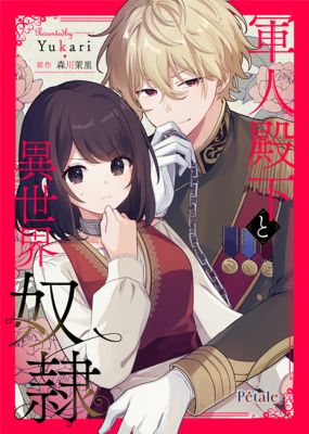 The Soldier Prince and the Otherworld Slave