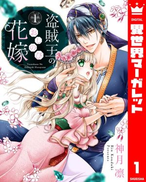 The Thief King’s Secret Bride