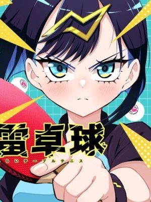 Shunrai Table Tennis
